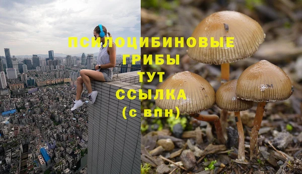 кокаин VHQ Алексеевка