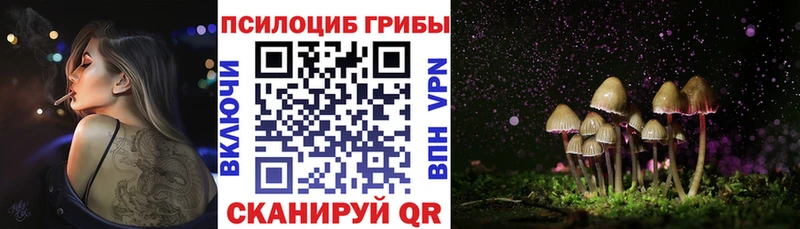 Псилоцибиновые грибы Cubensis  сколько стоит  Кизел 